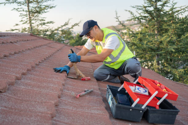 Roof Gutter Cleaning in Clayton, AL